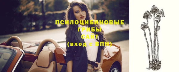 сатива Каменск-Шахтинский