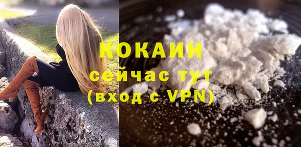 ALPHA-PVP Каменка