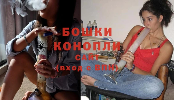 сатива Каменск-Шахтинский