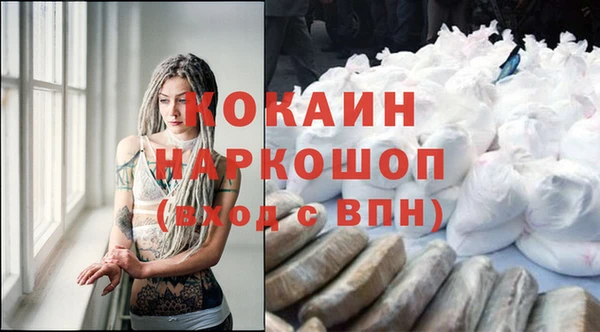 сатива Каменск-Шахтинский