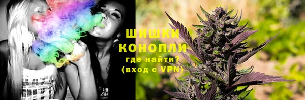 сатива Каменск-Шахтинский