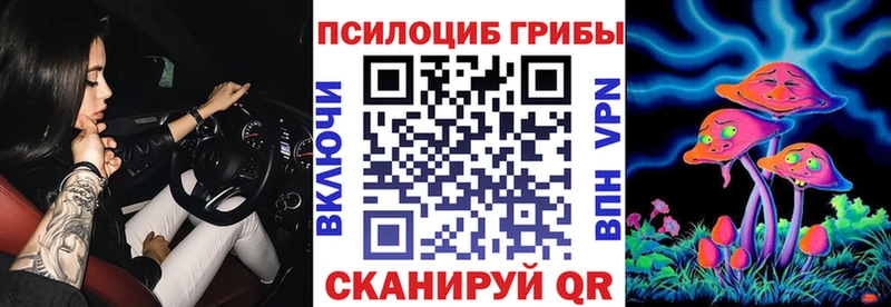 Купить  Новоульяновск  Псилоцибиновые грибы ЛСД 